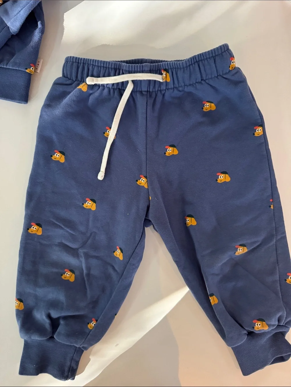 SET | Tinycottons | Navy Sweatshirt and Pants with Puppy Print